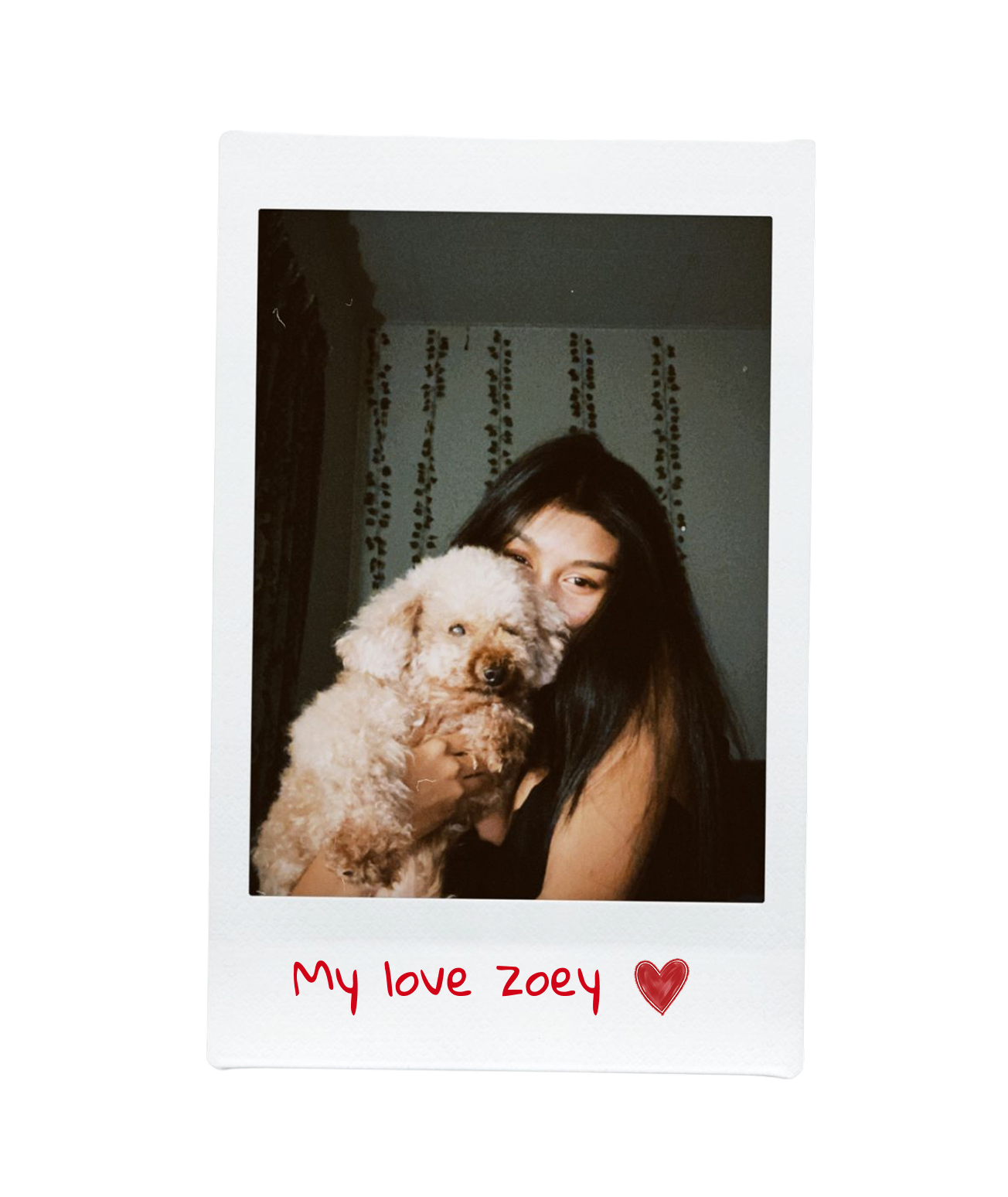 Polaroid of a girl holding a white poodle — captioned My love zoey